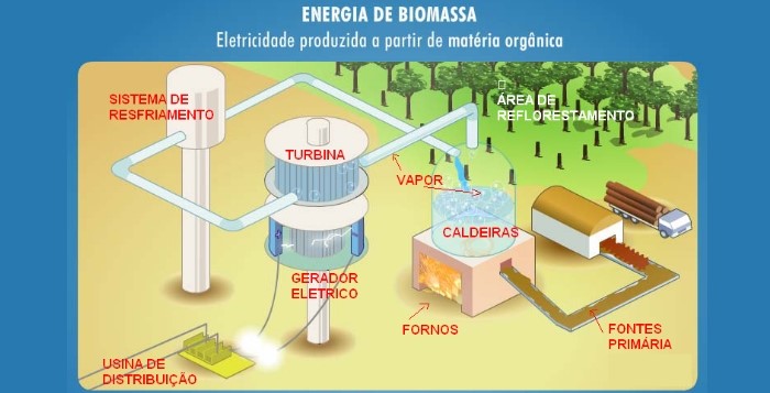 energia-da-biomassa-como-funciona