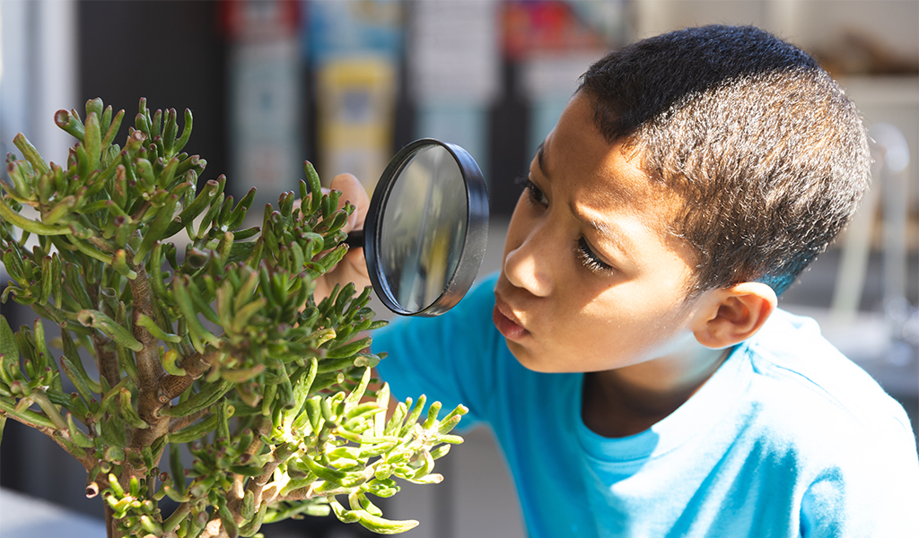 Menino negro analisando planta com lupa.