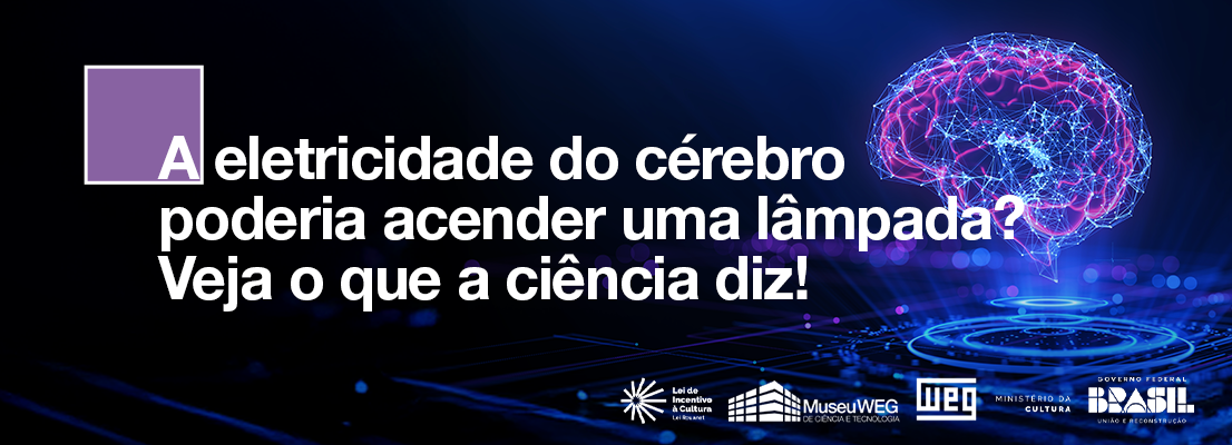 Banner com ilustração do cérebro humano.