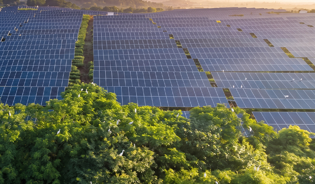 Usina solar fotovoltaica energia renovável