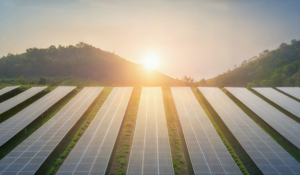 Vista aérea de fileiras de painéis solares em meio a um terreno com vegetação rasteira. Ao fundo, colinas cobertas de árvores e o sol baixo no horizonte, iluminando o céu com tons dourados.